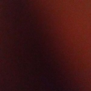 Meet your Posher, Lillian